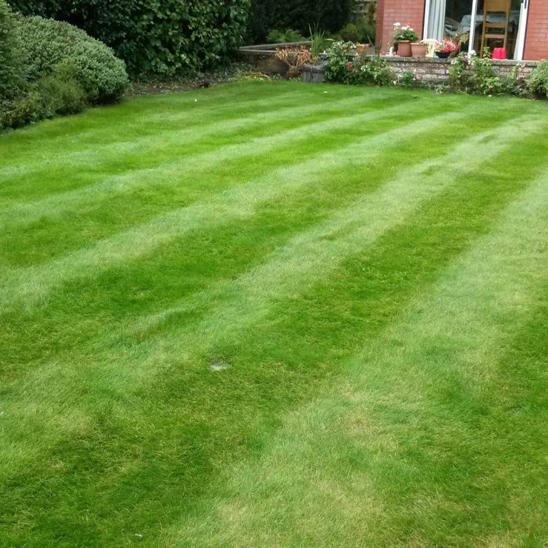 Lawn Care treatment