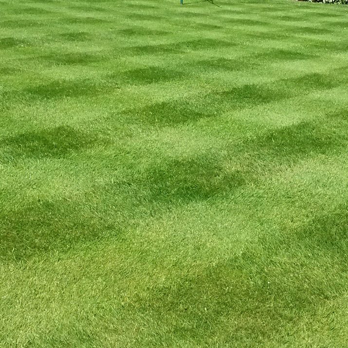 lawn mowing