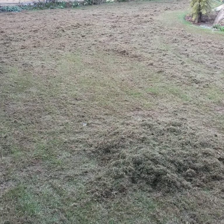 High Quality Lawn Care