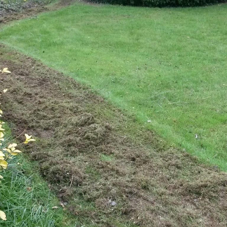 Lawn Improvement